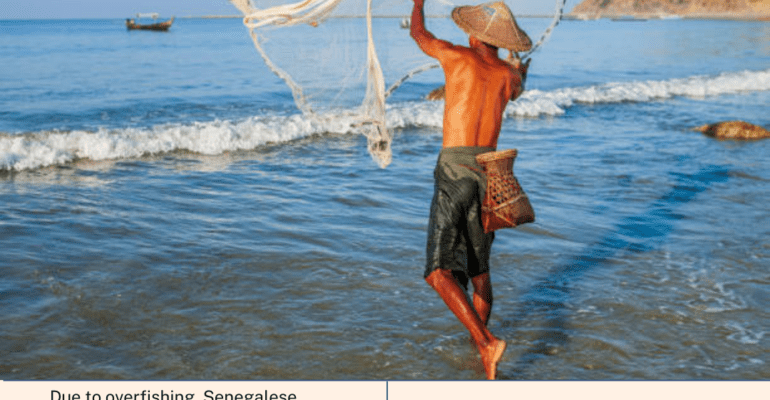 Fish shortage and illegal immigration in Senegal