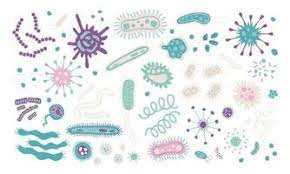 picture of viruses